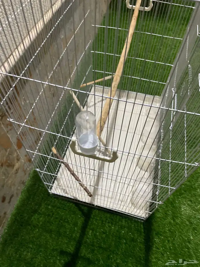 قفص طيور كبير 1