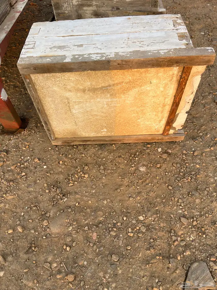 خلايا نحل افرنجي 27