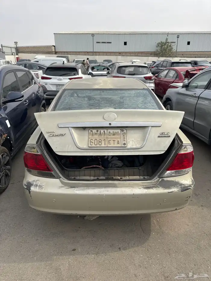 سيارات مصدومه 19