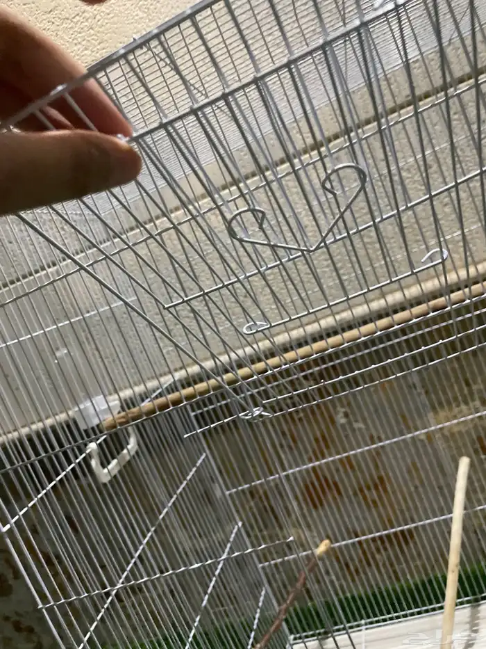 قفص طيور كبير 13