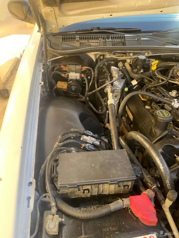 كراون فيكتوريا 2004 98