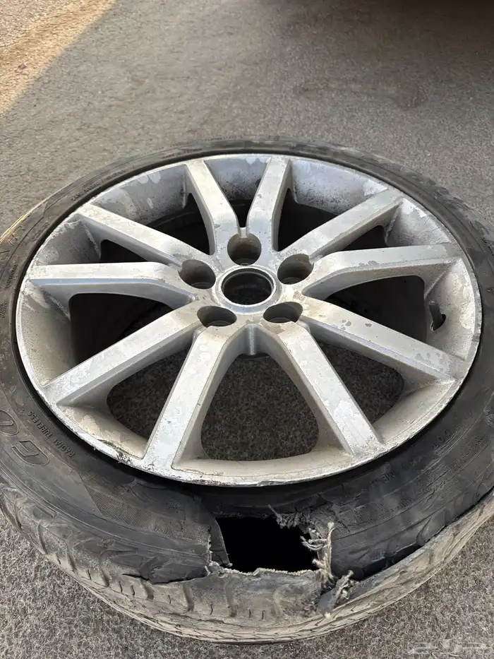 جنوط كابرس 2016 1