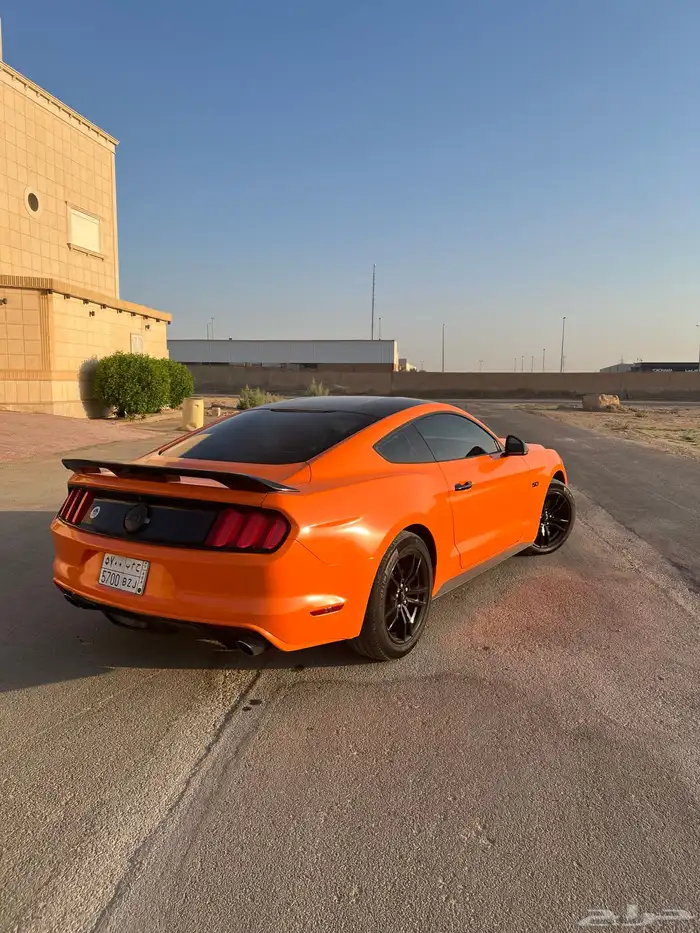 للبيع موستنج 2015 نظيف جدا 3