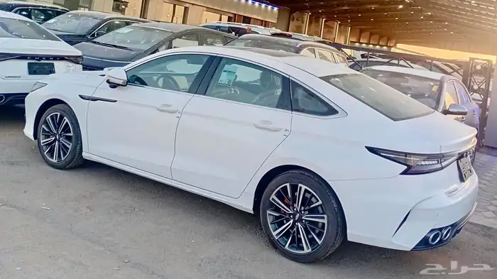 شيري اريزو 8 فل كامل 3