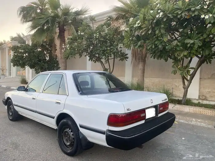 كرسيدا نظيف 1996 3