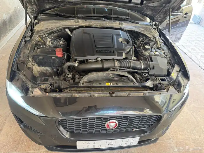 جاكوار 2020 18