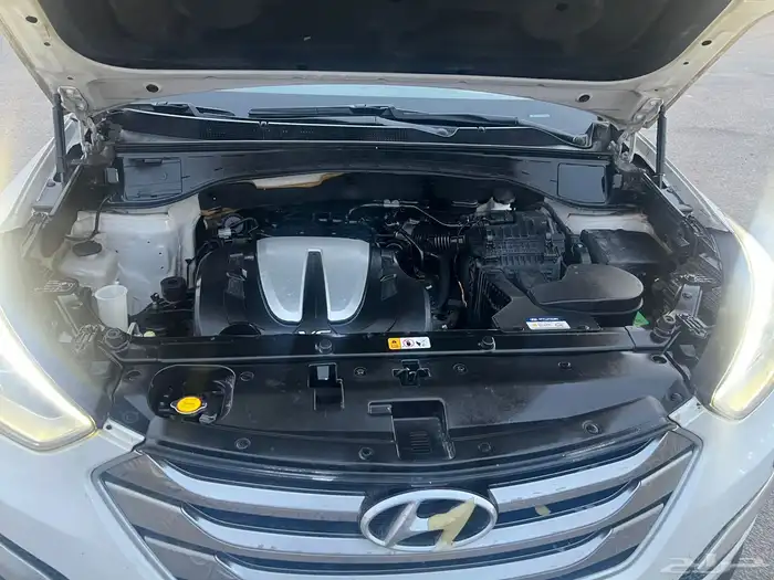 سنتافي 2014 فل كامل 9