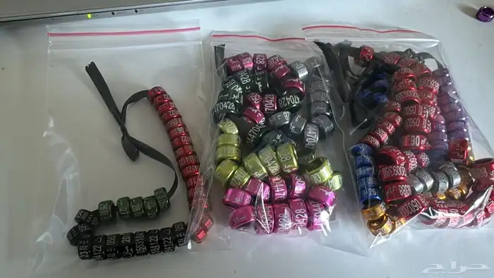 تفصيل حجول لجميع الطيور 4