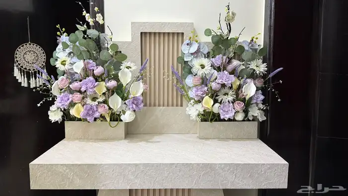 عربية ملكة نظييفه 2