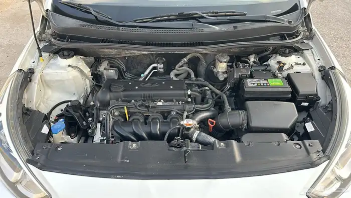 الاحساء الهفوف 0