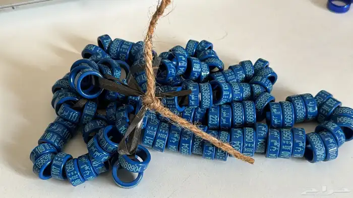 تفصيل حجول لجميع الطيور 1