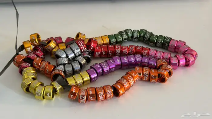 تفصيل حجول لجميع الطيور 3