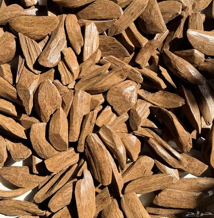 عود مروكي محسن   عرض الشتاء حتى نفاذ الكميه 0