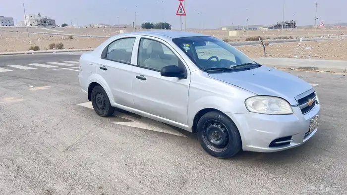 افيو 2013 تماتيك 4