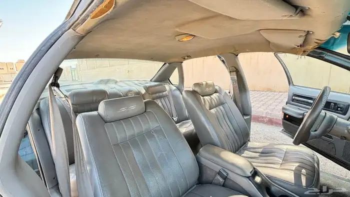 كابرس 95 SS امبالا 95 SS كابرس غزال 95 SS كابرس اس اس 10