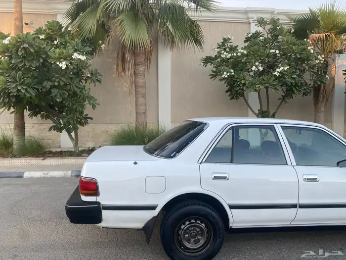 كرسيدا نظيف 1996 12