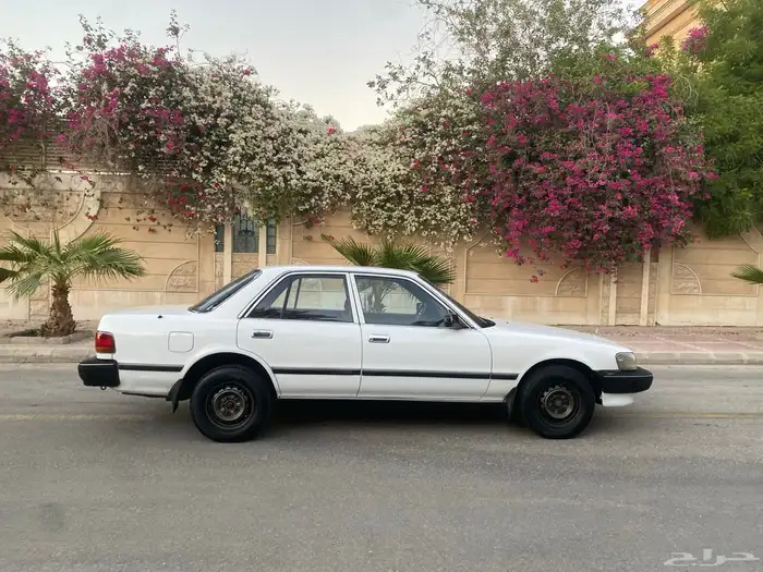 كرسيدا نظيف 1996 8