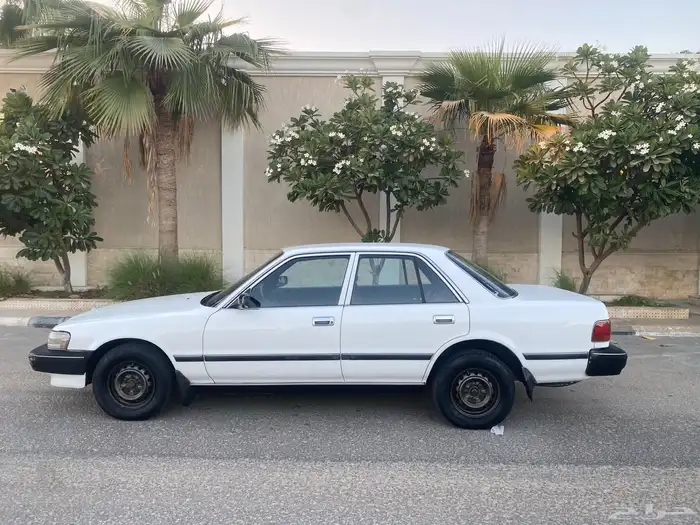 كرسيدا نظيف 1996 17