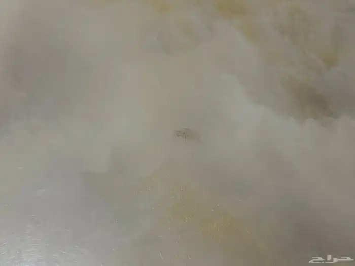 سفرة طعام 6 أشخاص 4