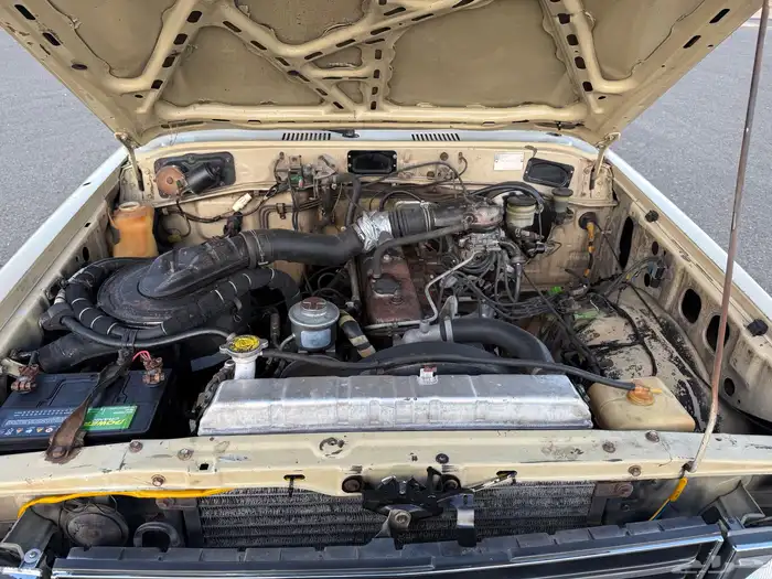 صالون 85 مجدد ومفحوص وعلي الشرط 17