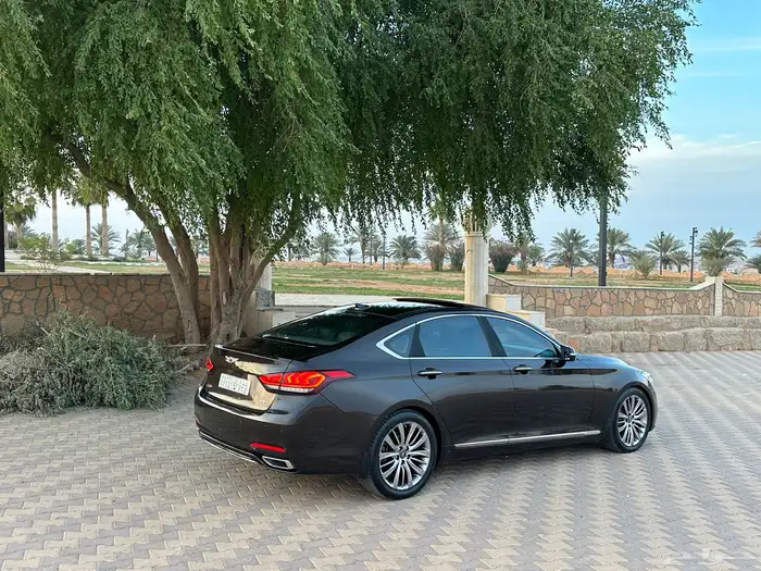 للبيع جينسس G80 م 2019 15