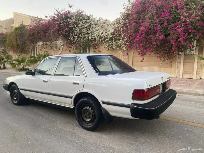 كرسيدا نظيف 1996 9