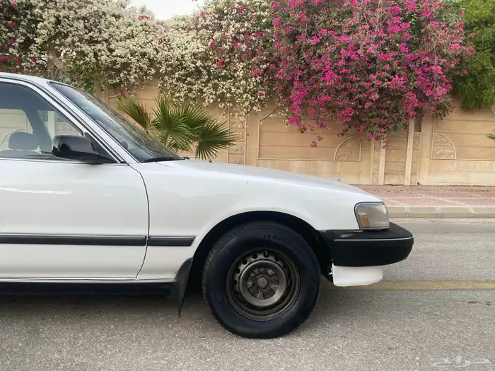 كرسيدا نظيف 1996 5