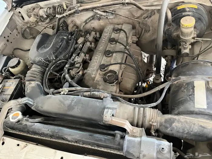 ددسن 2008 غمارة 7