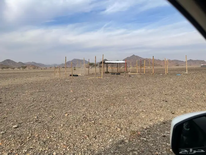 شبوك غنم جديدة للبيع 2