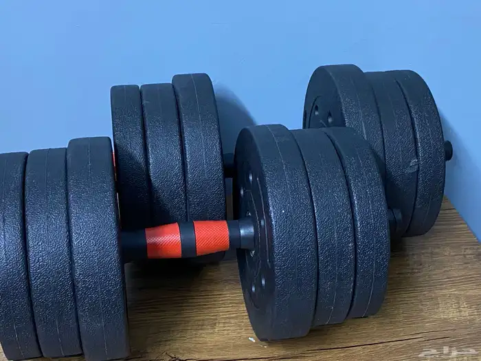 دمبل 20 كيلو 0