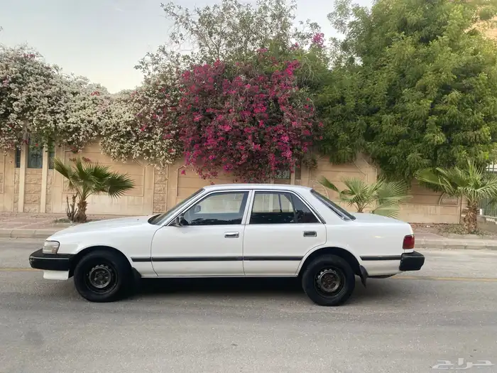 كرسيدا نظيف 1996 10