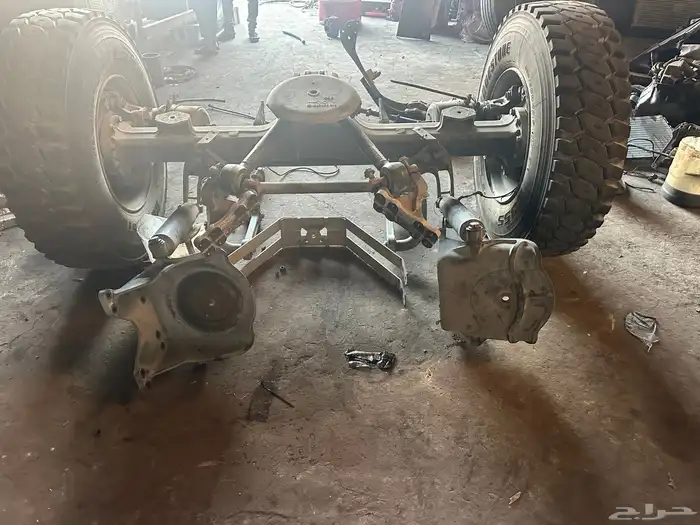 دنقل مسقس اكتروس للبيع 1