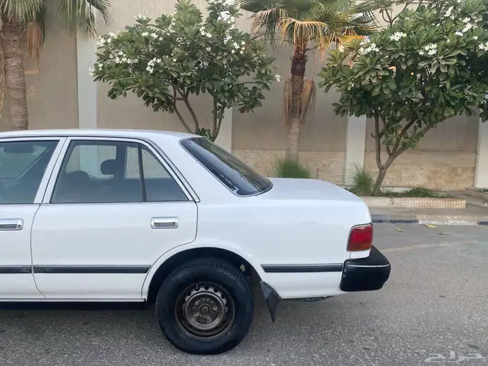 كرسيدا نظيف 1996 13