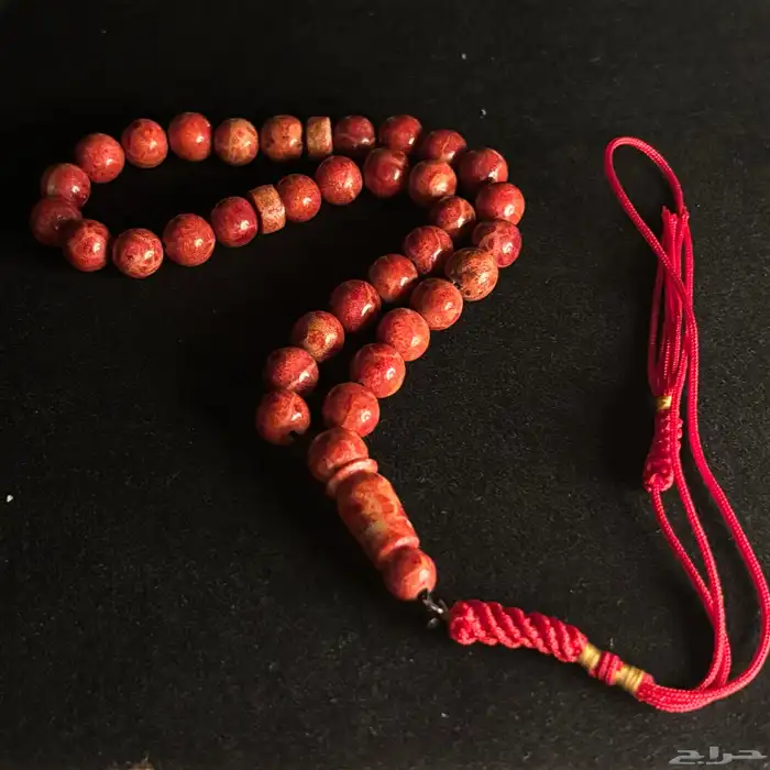 مسباح مرجان اندنوسي طبيعي حر 3