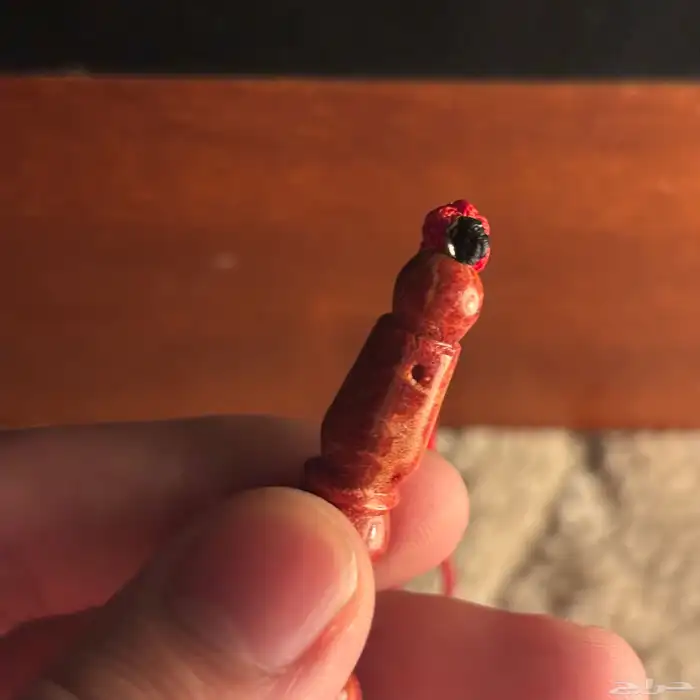 مسباح مرجان اندنوسي طبيعي حر 6