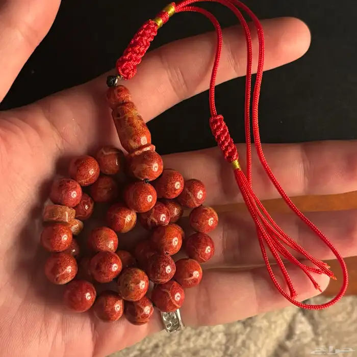 مسباح مرجان اندنوسي طبيعي حر 0