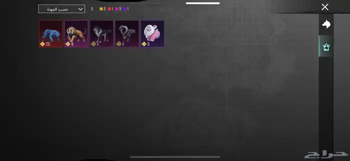 حساب ببجي للبيع 32