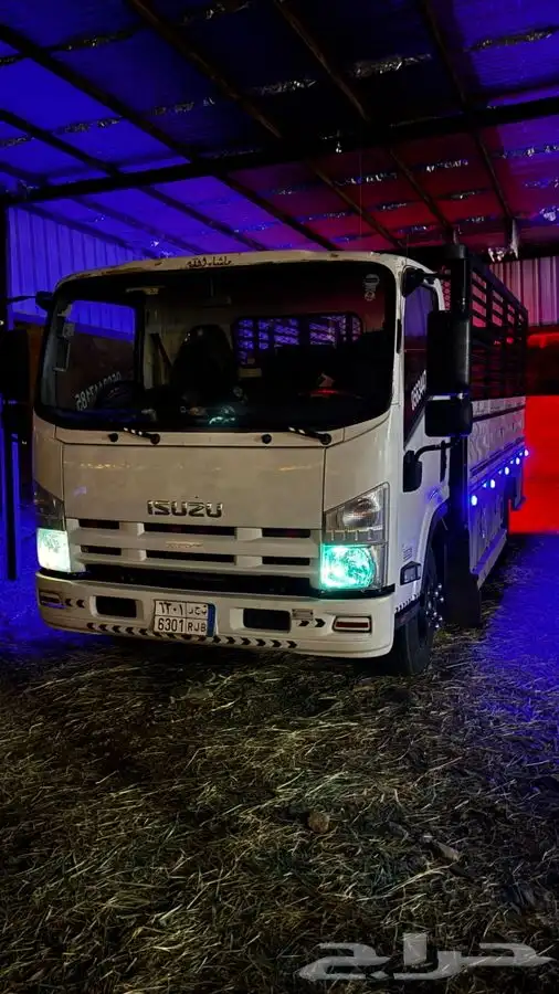 دينا اسيوزو 2016 وكاله شرط 11