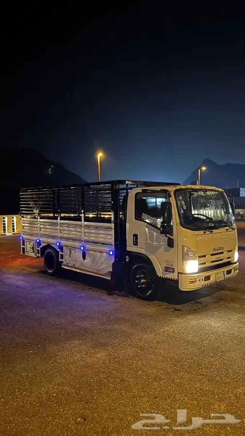 دينا اسيوزو 2016 وكاله شرط 8