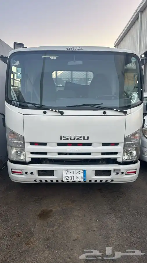 دينا اسيوزو 2016 وكاله شرط 1