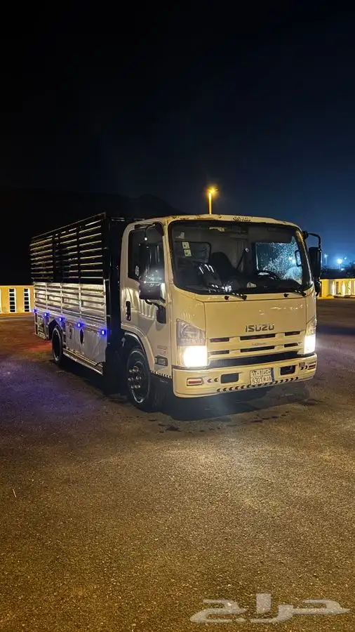 دينا اسيوزو 2016 وكاله شرط 9