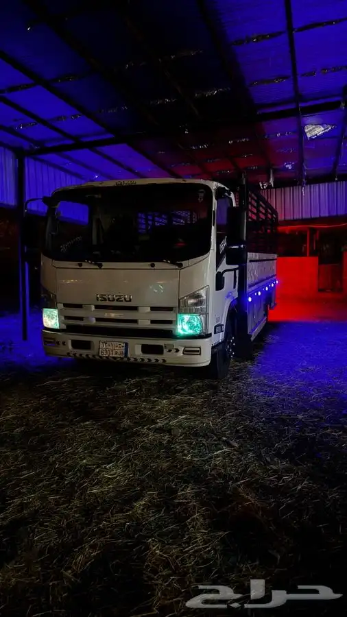 دينا اسيوزو 2016 وكاله شرط 12