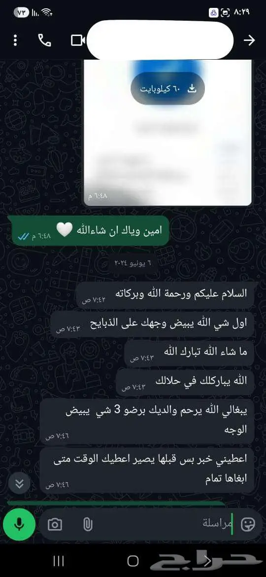 طليان حري مع التوصيل من 1300 الى 1600 14