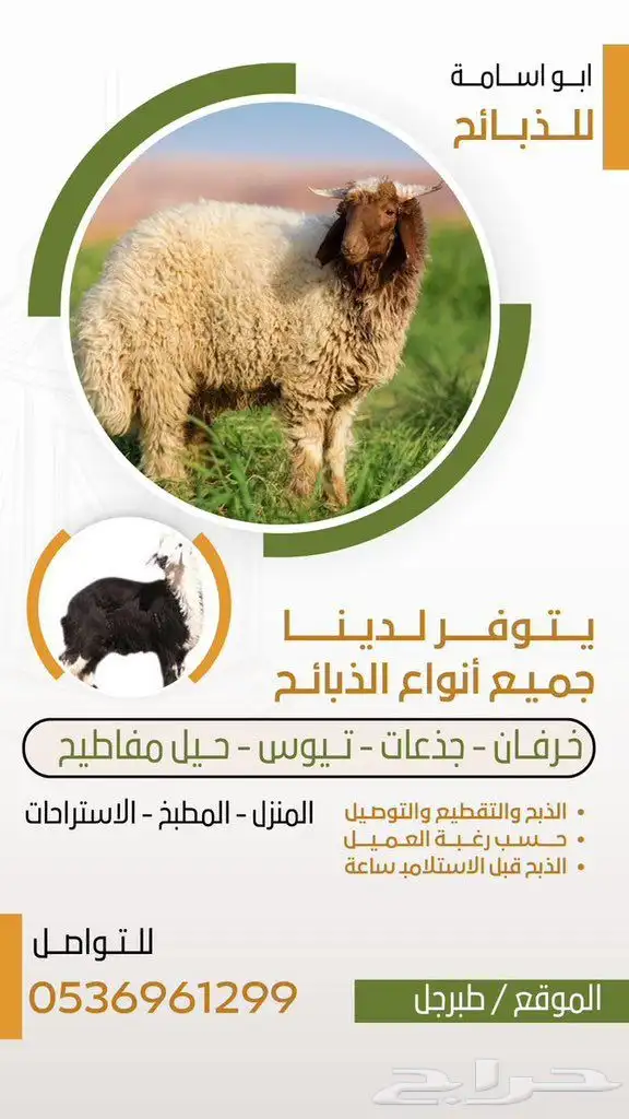 تصميم جرافيك على ادوبي الستريتر وفوتوشوب 13