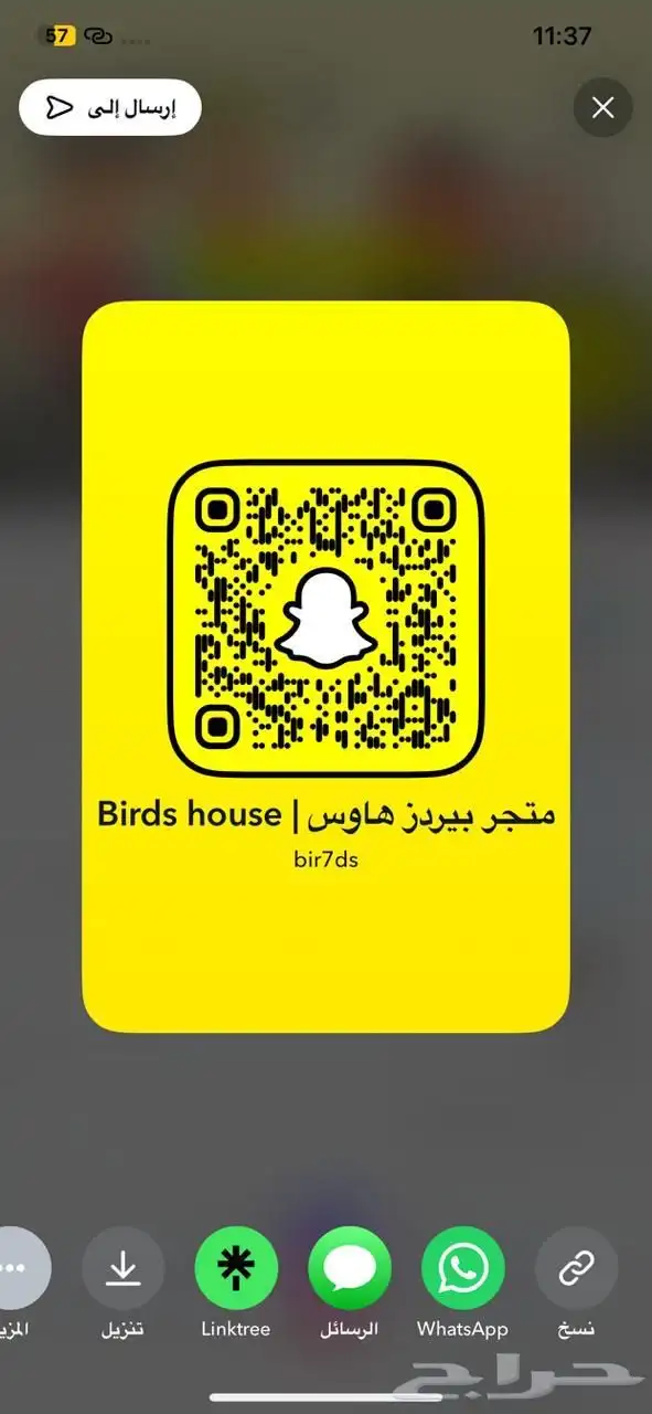 فرخ صن كنيور شمسي سوبر جامبو (فاخر جد ا) 7