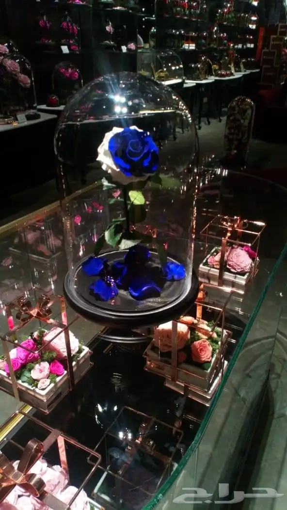 بضاعه ورود واكسسوارات 36