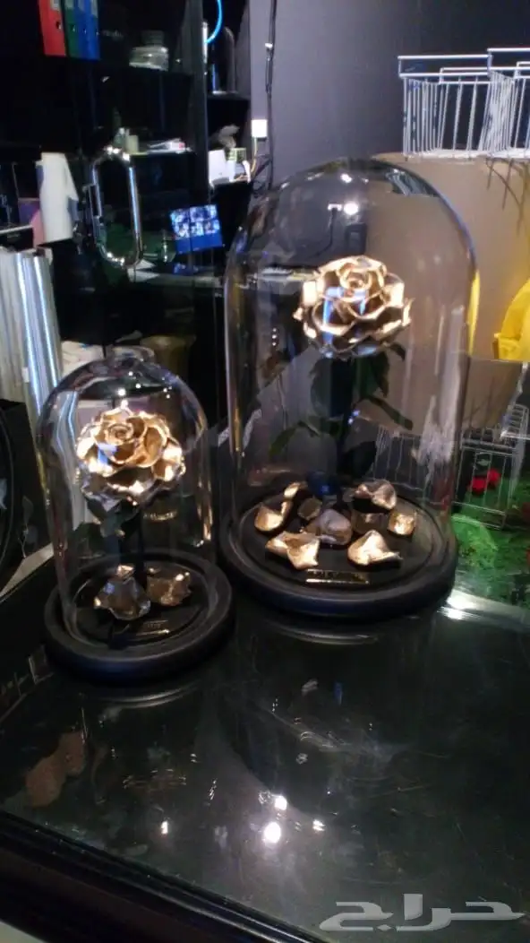 بضاعه ورود واكسسوارات 35