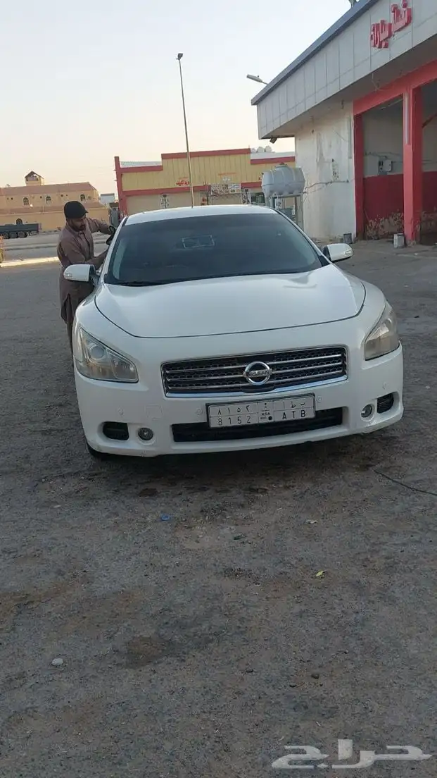 مكسيما للبيع 3