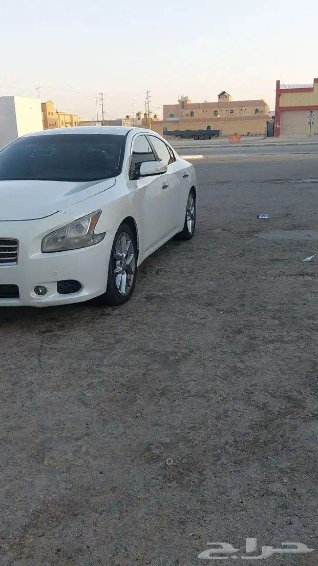 مكسيما للبيع 2