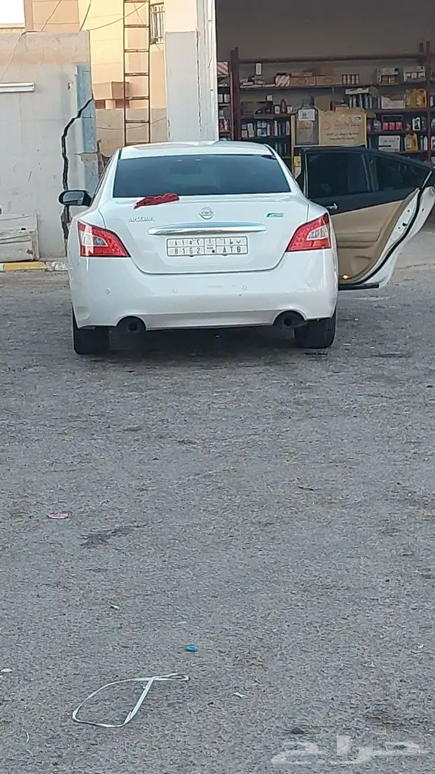 مكسيما للبيع 0